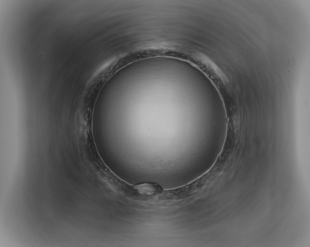 X0000111361064200907101226