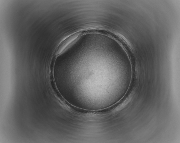 X0000111361065200907101226