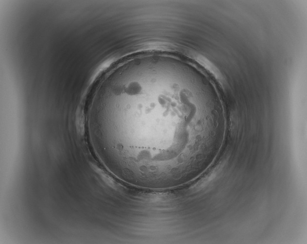 X0000111361067200907101226