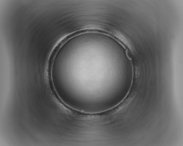X0000111361068200907101226