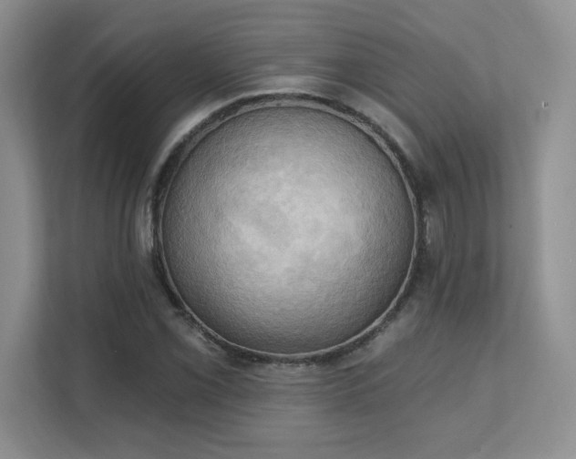 X0000111361069200907101226