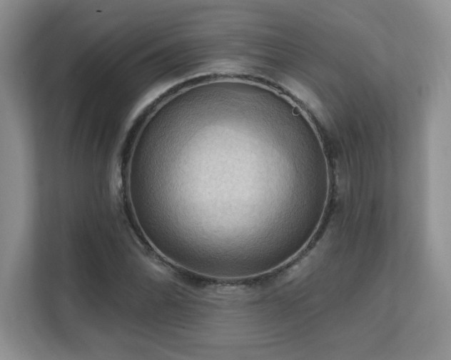 X0000111361070200907101226