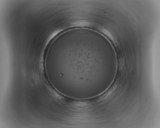 X0000111361071200907101226