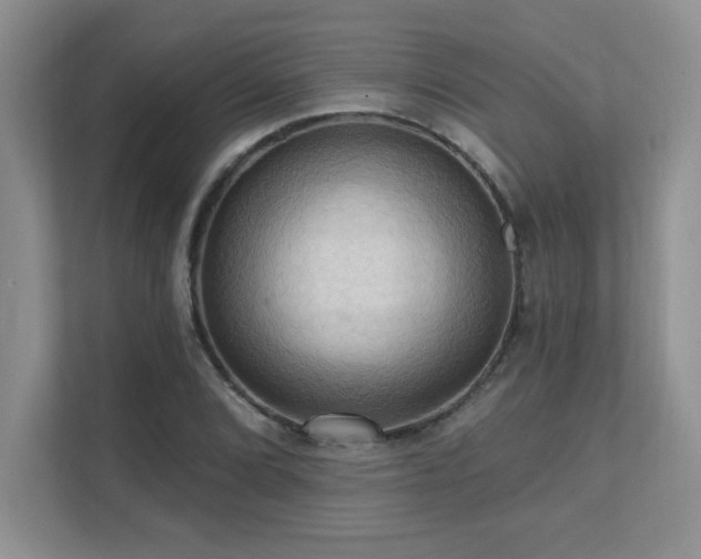 X0000111361072200907101226