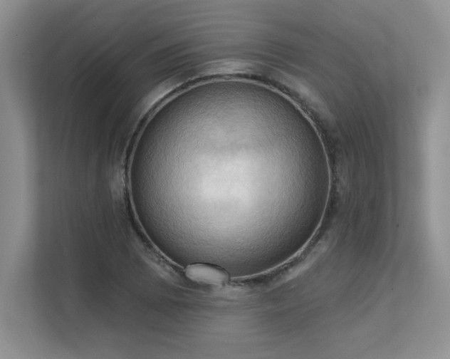 X0000111361073200907101226