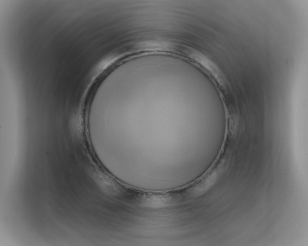 X0000111361074200907101226