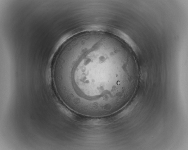 X0000111361075200907101226