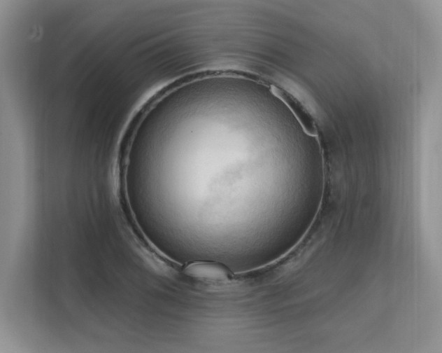 X0000111361076200907101226