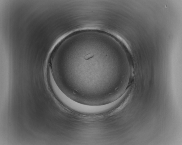 X0000111361077200907101226
