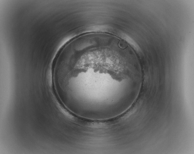 X0000111361079200907101226