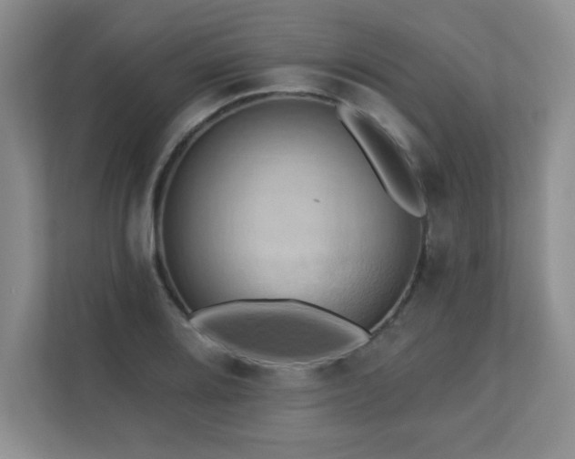X0000111361080200907101226