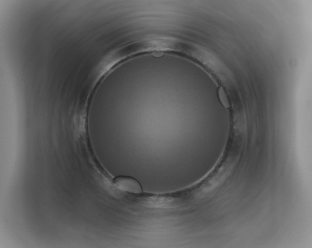 X0000111361081200907101226