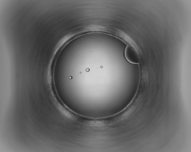 X0000111361082200907101226