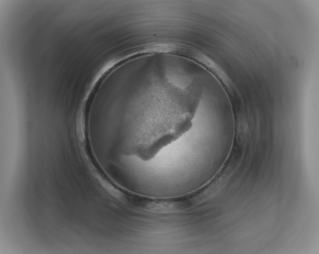 X0000111361083200907101226