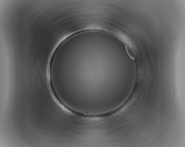X0000111361084200907101226