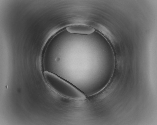 X0000111361085200907101225
