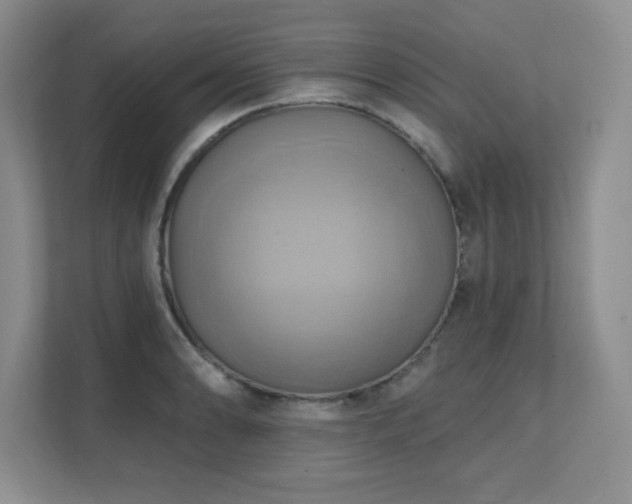 X0000111361086200907101225