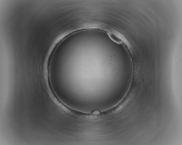 X0000111361088200907101225
