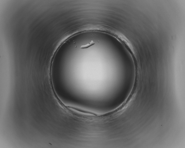 X0000111361089200907101225
