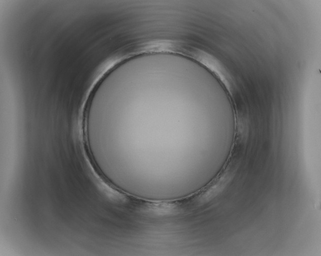 X0000111361090200907101225