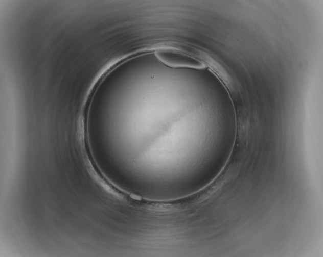 X0000111361092200907101225