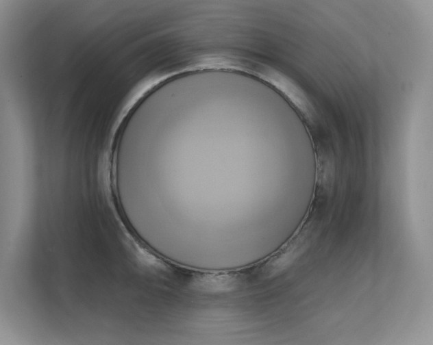 X0000111361094200907101225