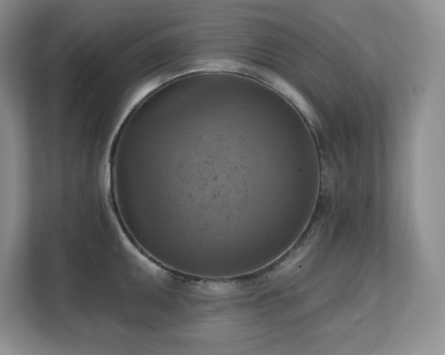 X0000111361095200907101225