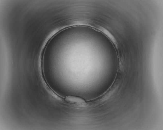 X0000111361096200907101225