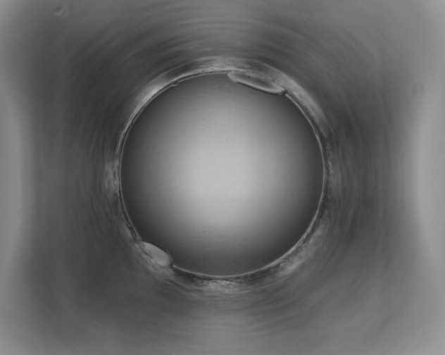 X0000111361097200907101225