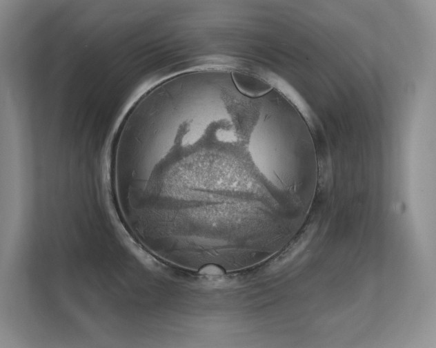X0000111361099200907101225