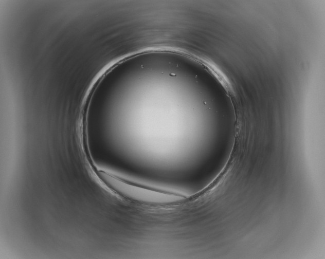 X0000111361100200907101225
