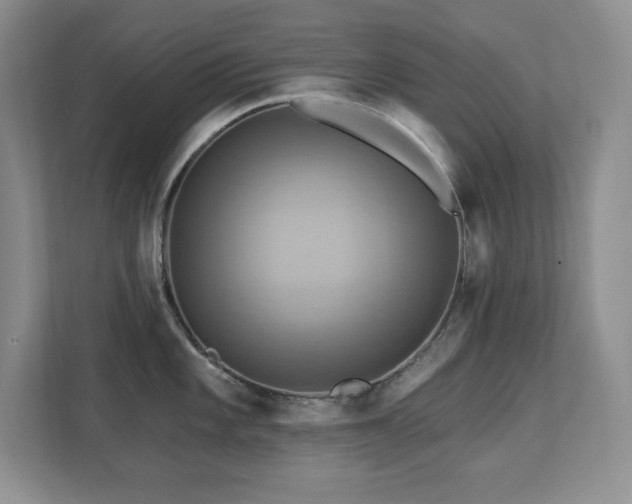 X0000111361101200907101225