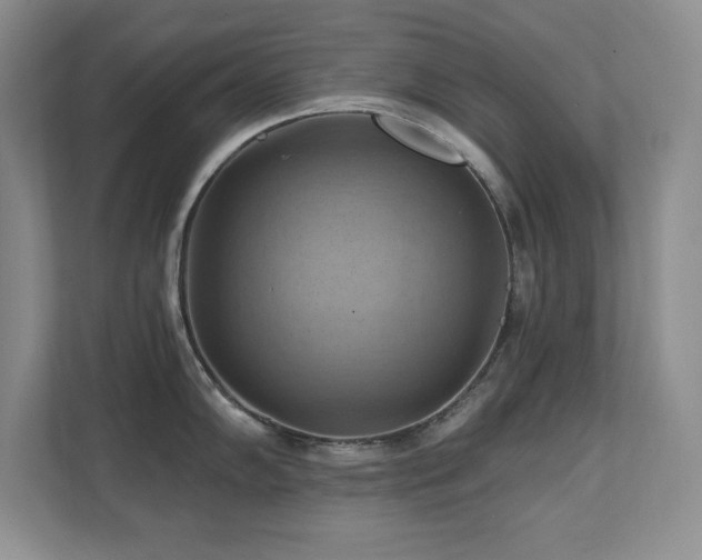 X0000111361102200907101225
