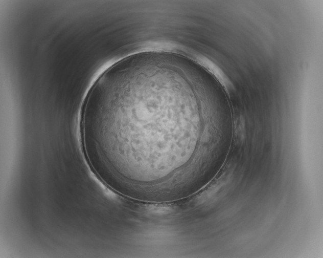 X0000111361103200907101225