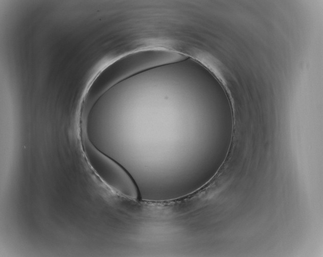 X0000111361104200907101225