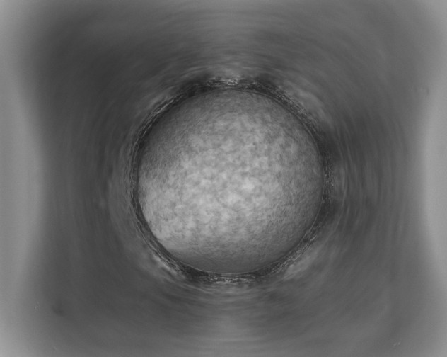 X0000111361105200907101225