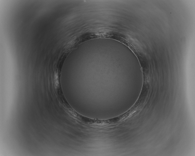 X0000111361106200907101225