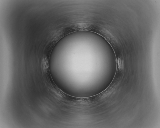 X0000111361107200907101225