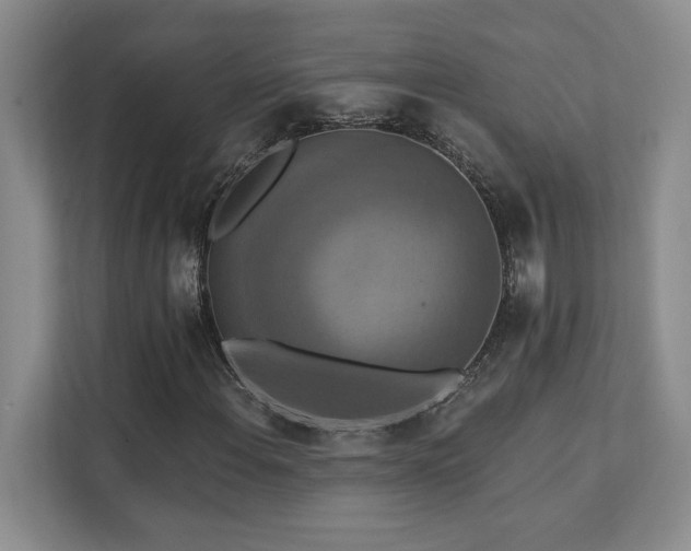 X0000111361108200907101225