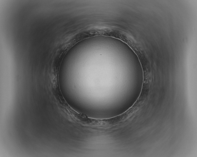 X0000111361109200907101225