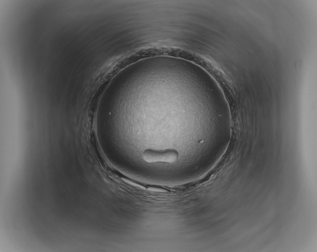 X0000111361110200907101225