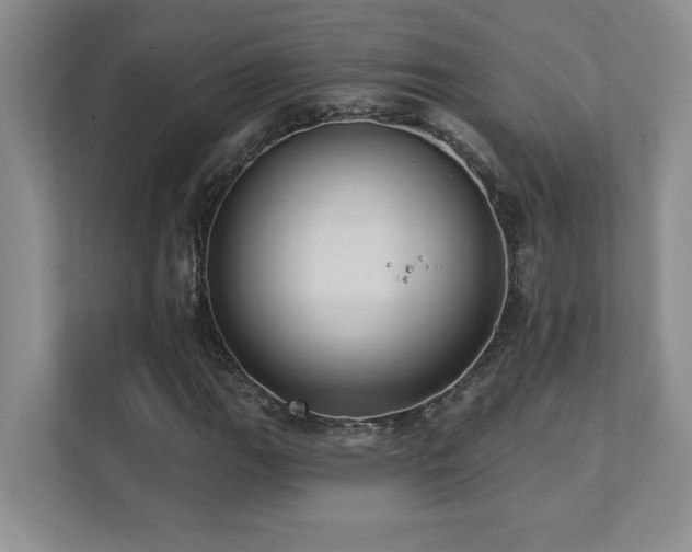 X0000111361111200907101225