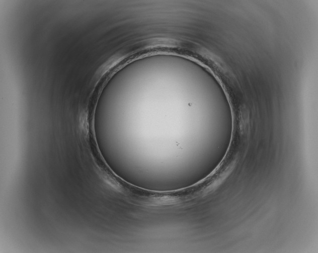 X0000111361113200907101225