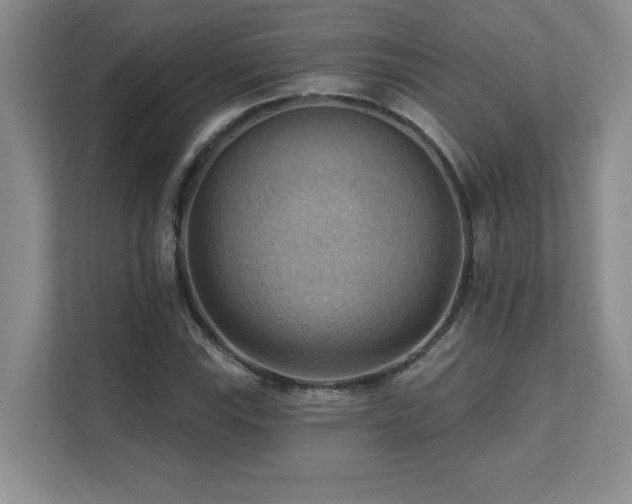 X0000111361115200907101225