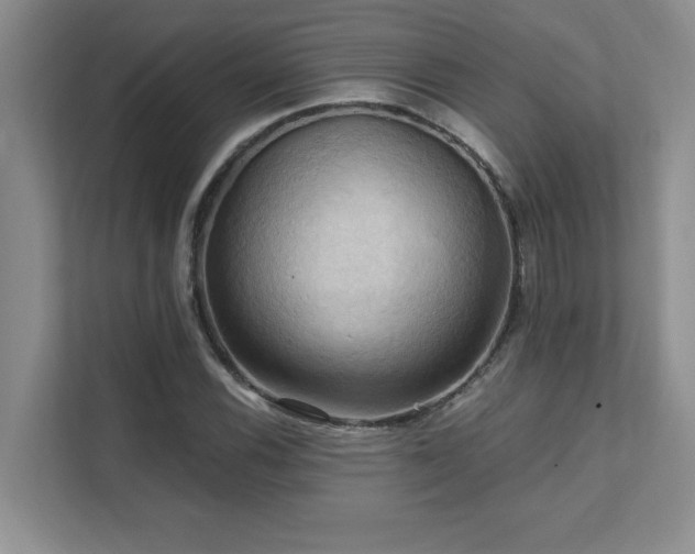 X0000111361116200907101225
