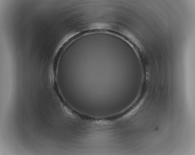 X0000111361117200907101225