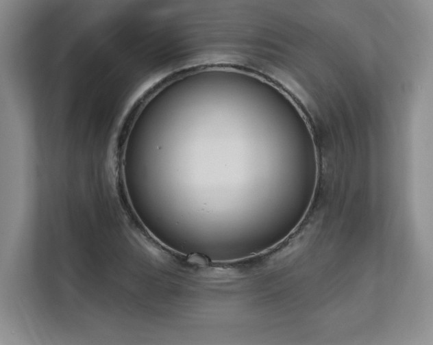 X0000111361119200907101225