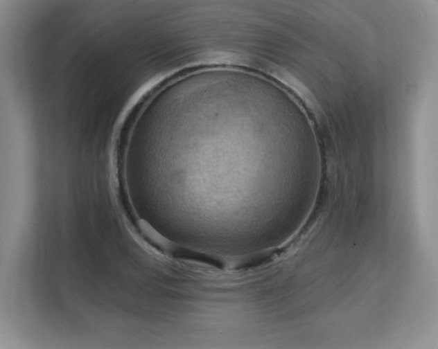 X0000111361120200907101225