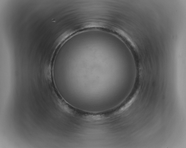 X0000111361121200907101225