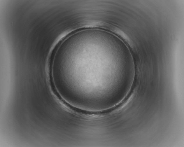 X0000111361122200907101225